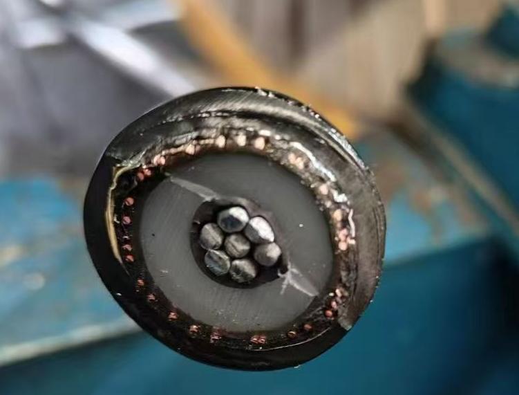 AL/XLPE/WBT/CWS+CTS/WBT/AL PEL/MDPE-12/20KV 1*50/16