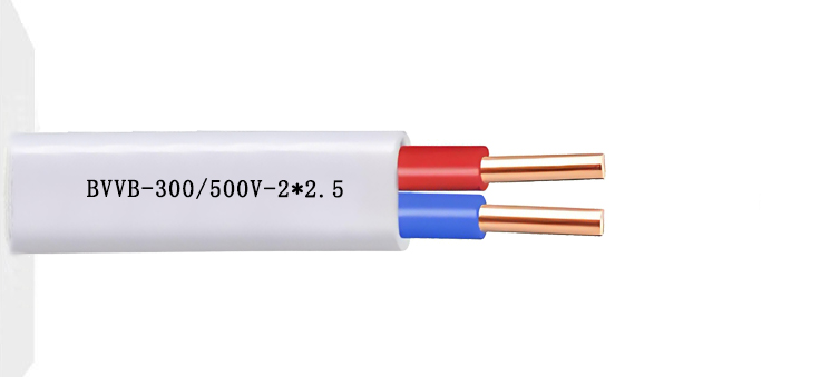 BVVB-300/500V-2*2.5 
